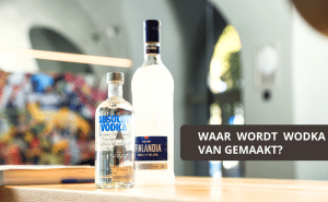 Hoe en waar wordt wodka van gemaakt