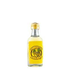 Toppertje Ananas 10 Pack 10X2cl