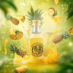 Toppertje Ananas 10 Pack